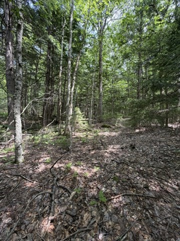 00 Cyrus Stage Rd