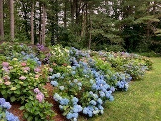 32 Moore Road, Wayland, MA, 32 Moore Road, Wayland, MA Photo #12