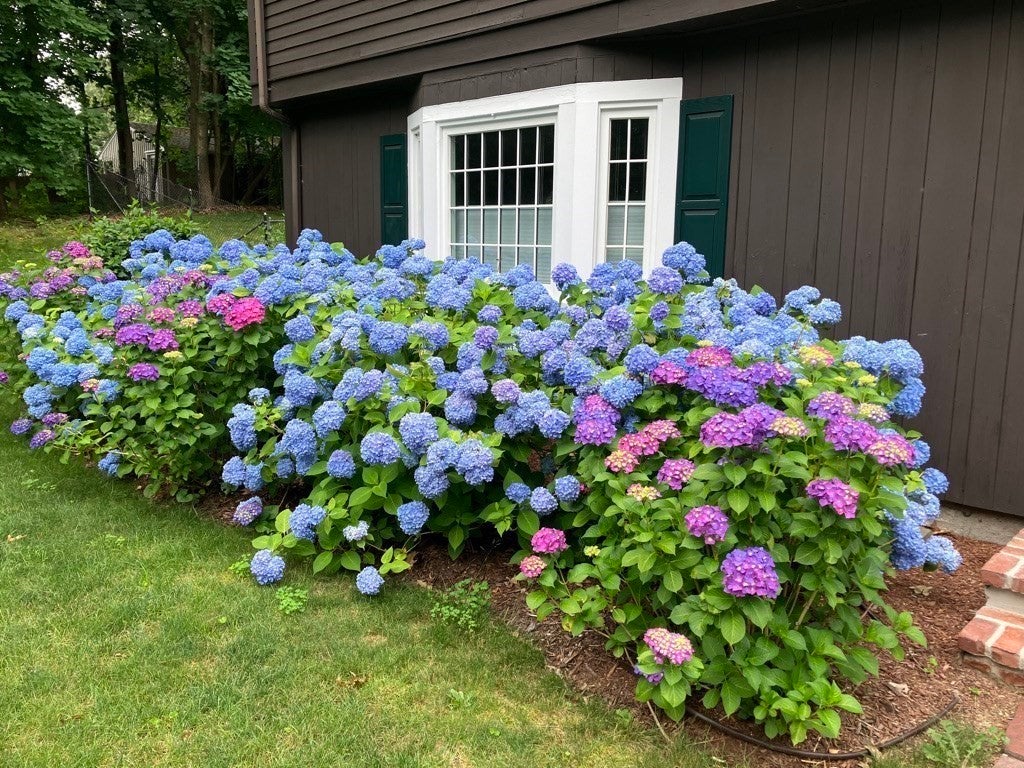 32 Moore Road, Wayland, MA, 32 Moore Road, Wayland, MA Photo #6
