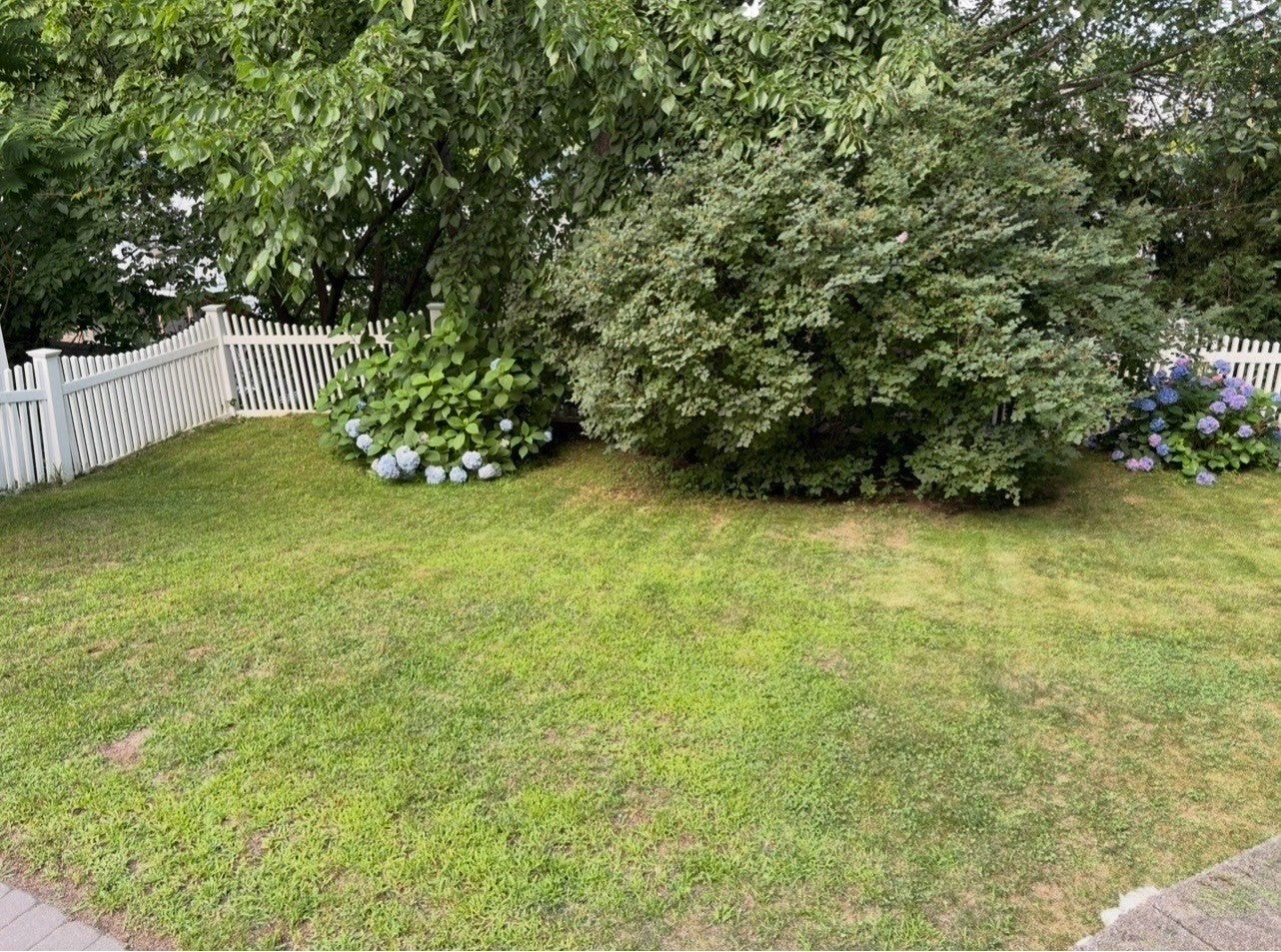 103 Eastwood Circuit, Boston, MA, 103 Eastwood Circuit, Boston, MA Photo #26