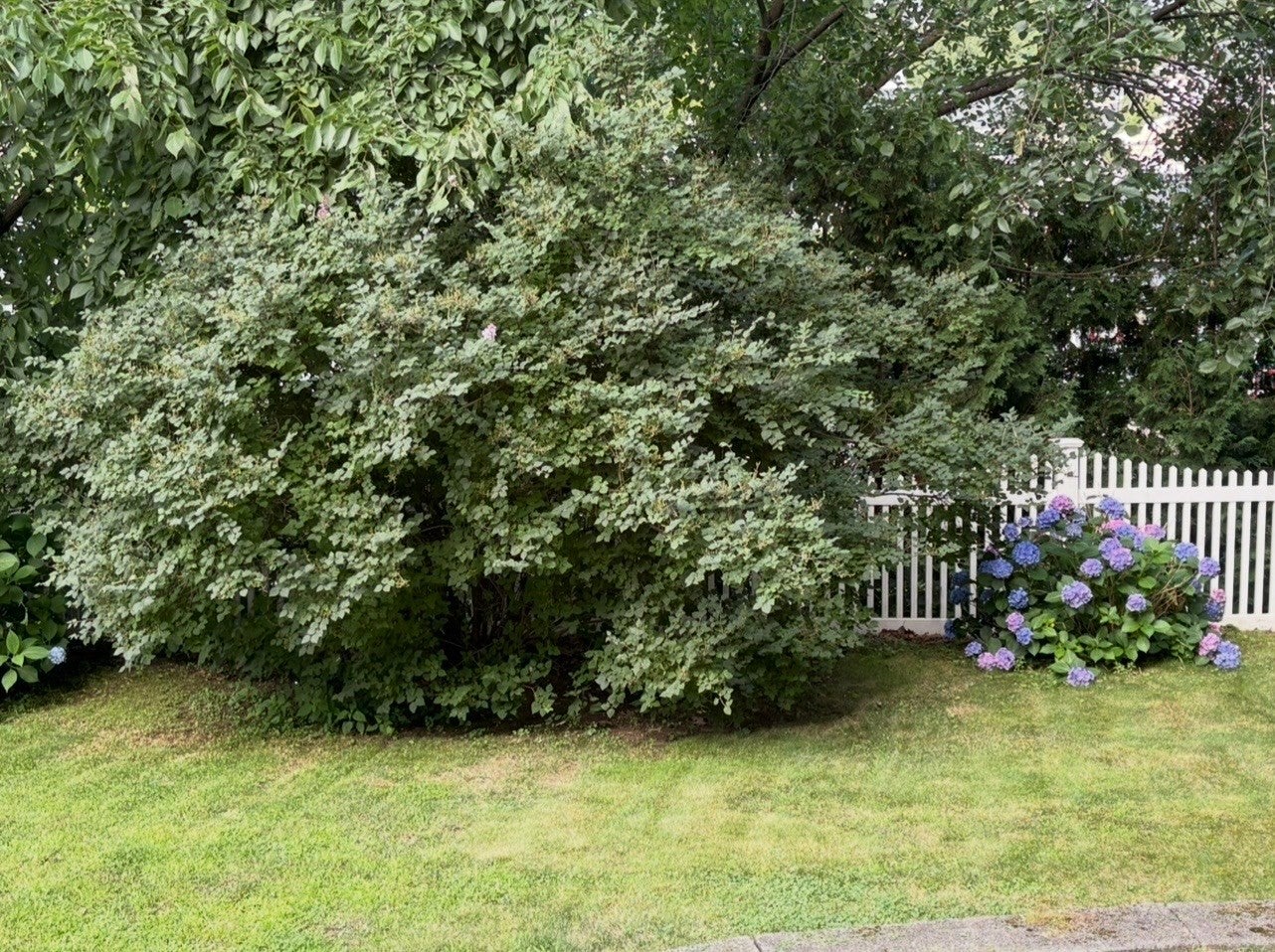 103 Eastwood Circuit, Boston, MA, 103 Eastwood Circuit, Boston, MA Photo #27