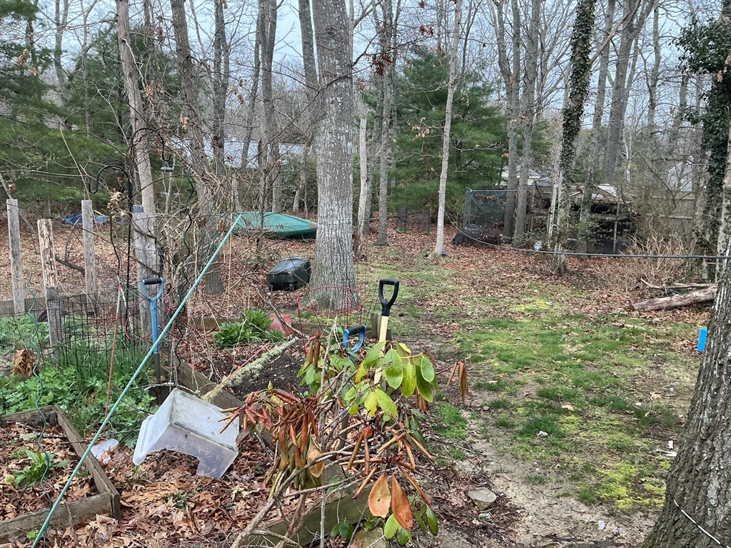 4 Blackthorn Path