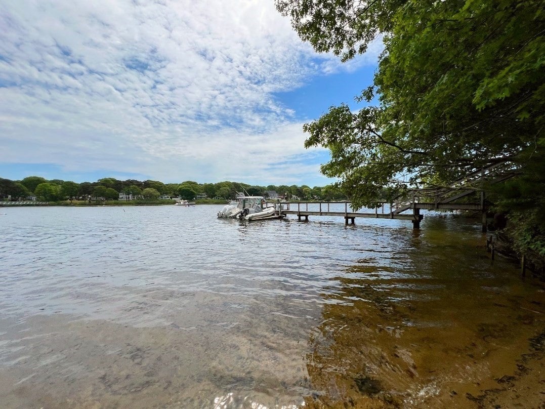 24 E Harbor Dr, Falmouth, MA Photo #36