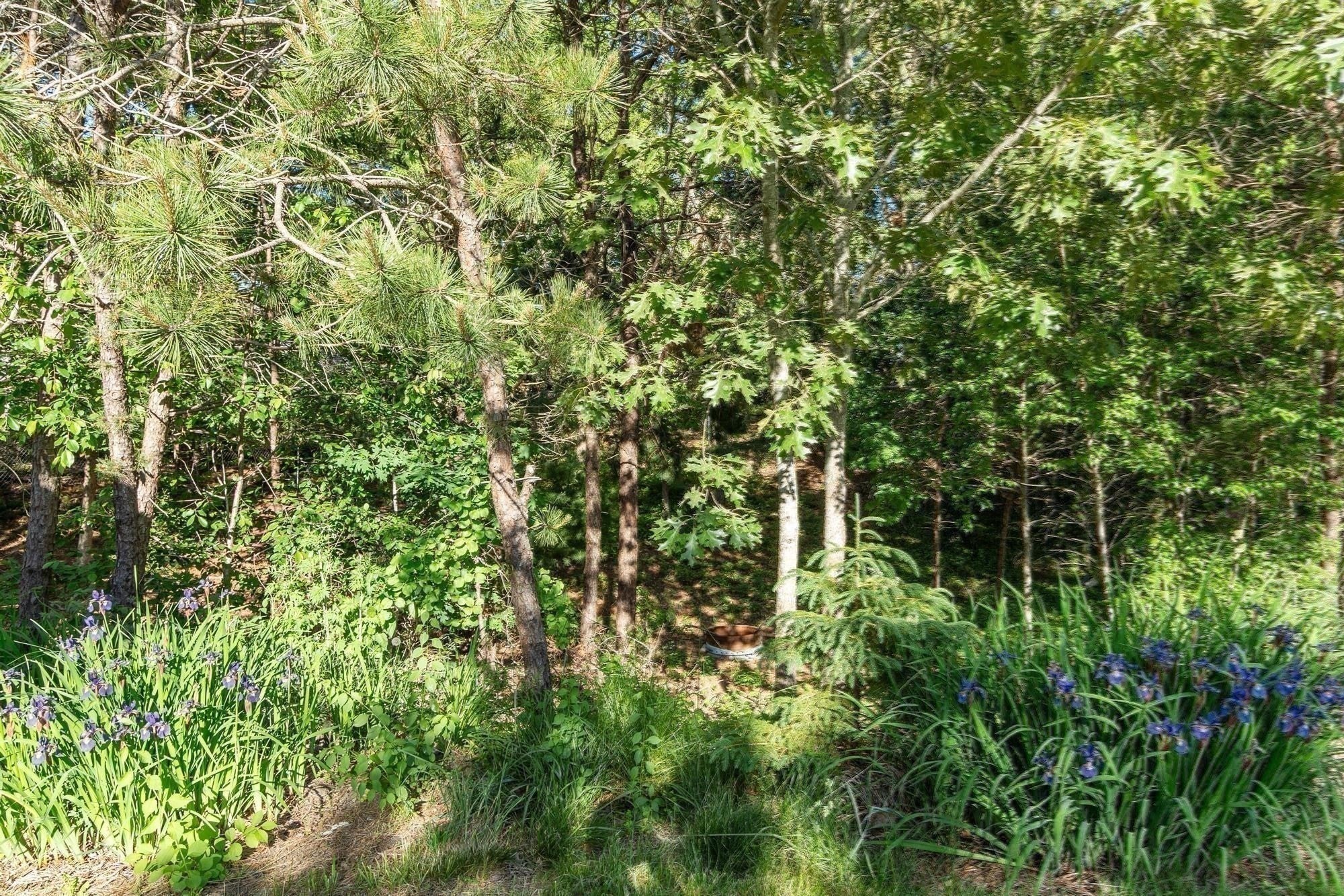 131 Nathan Ln, Plymouth, MA, 131 Nathan Ln, Plymouth, MA Photo #32