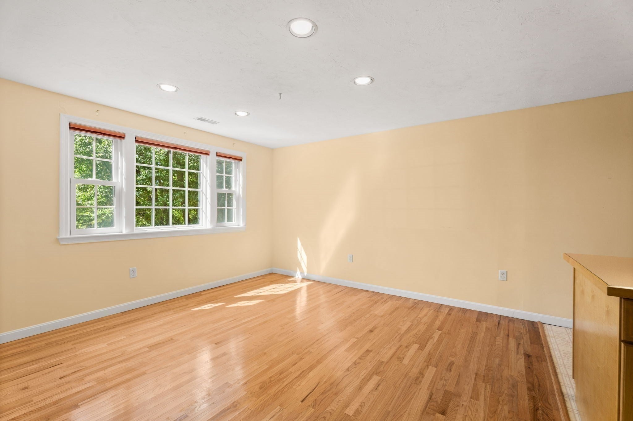 236 Sherburne Ave, Tyngsborough, MA, 236 Sherburne Ave, Tyngsborough, MA Photo #7