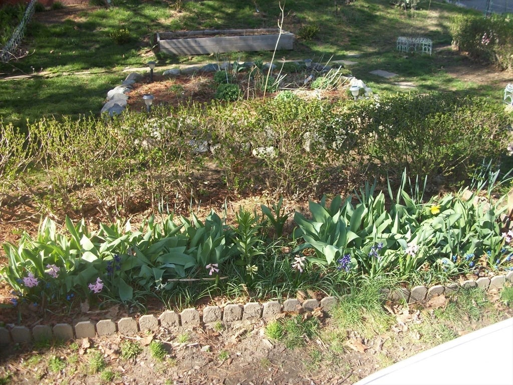 15R & 15 Lambert Ave, Chelsea, MA, 15R & 15 Lambert Ave, Chelsea, MA Photo #6