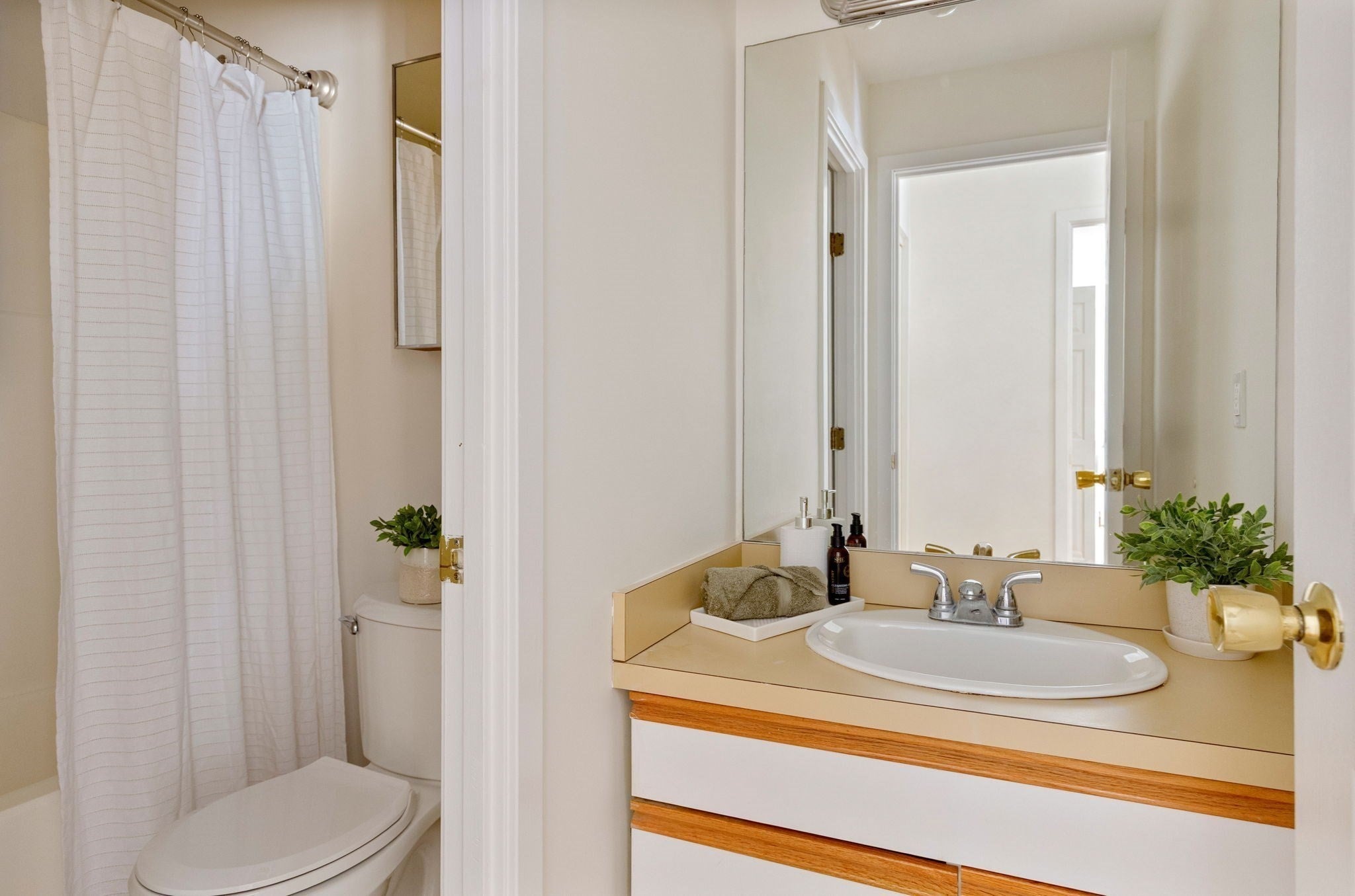 332 Franklin Street #100, Cambridge, MA, 332 Franklin Street #100, Cambridge, MA Photo #12