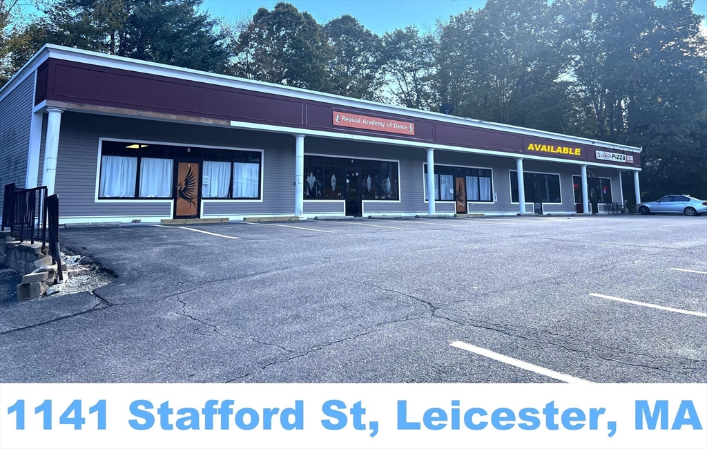 1141 Stafford Street 4
