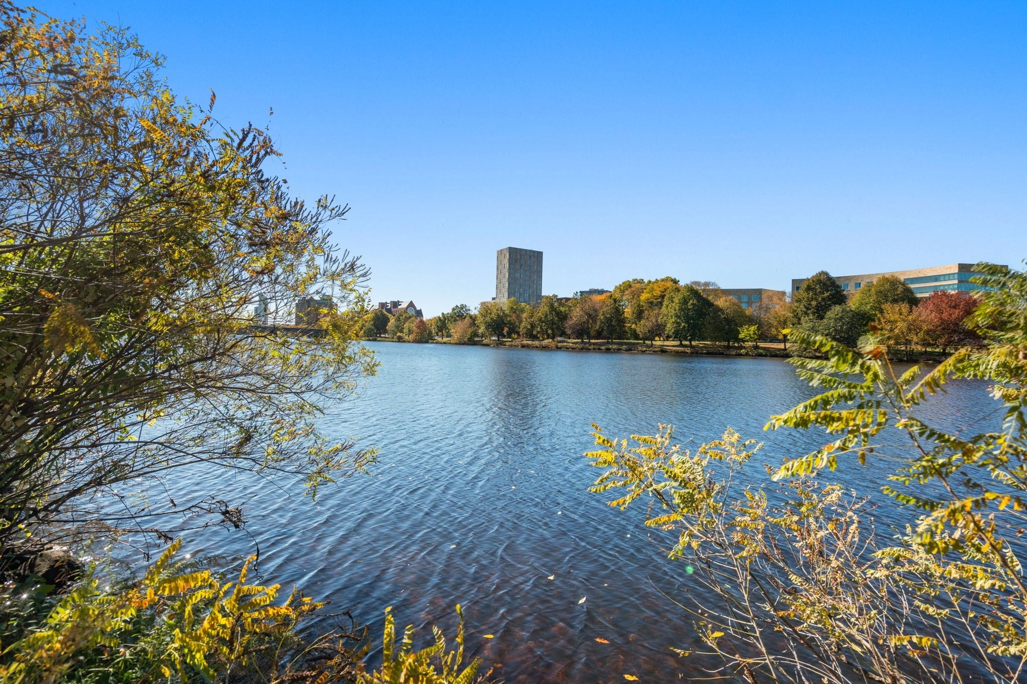 136 Banks St #136, Cambridge, MA, 136 Banks St #136, Cambridge, MA Photo #21