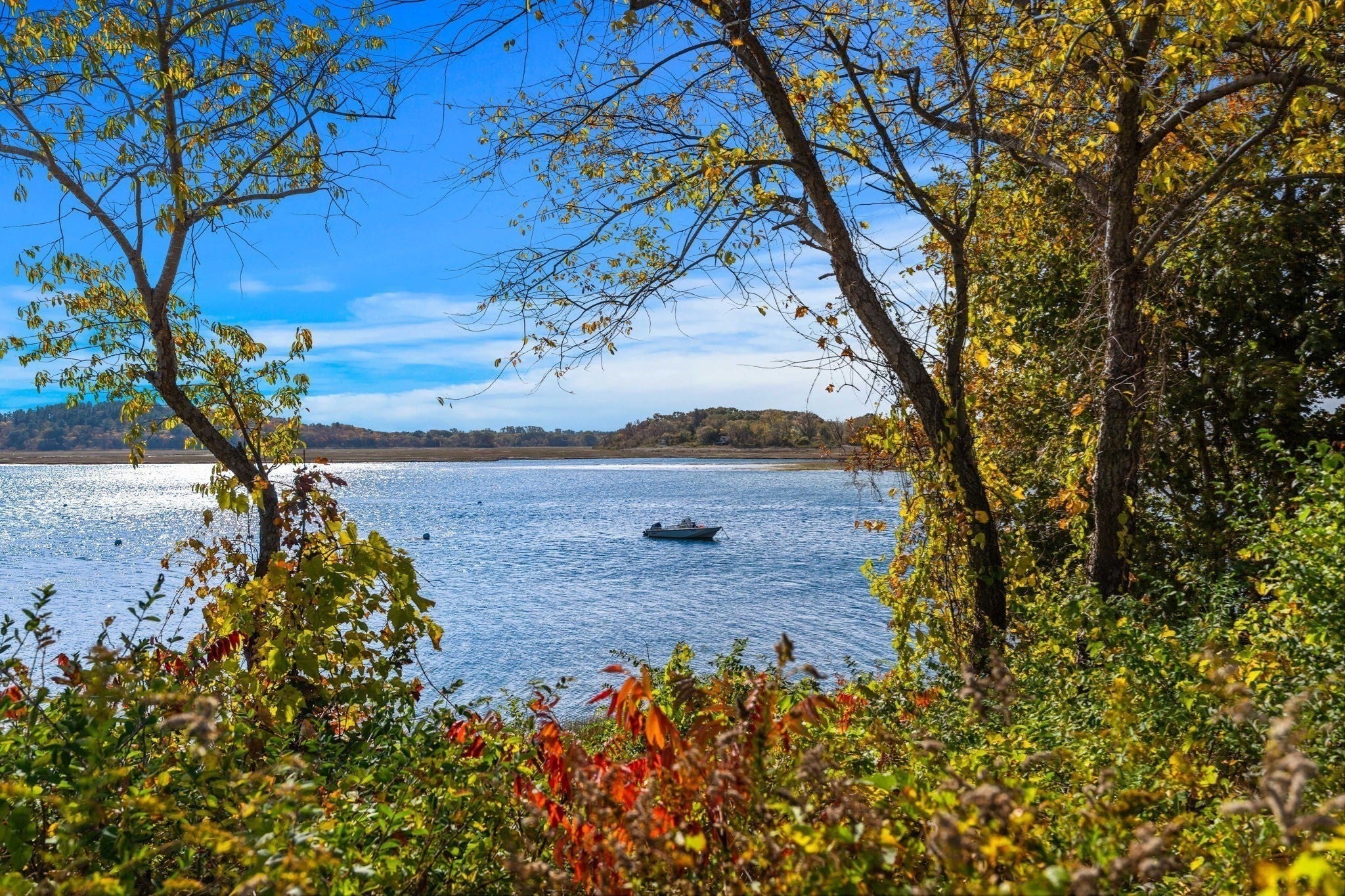 98 Little Neck Rd, Ipswich, MA, 98 Little Neck Rd, Ipswich, MA Photo #17