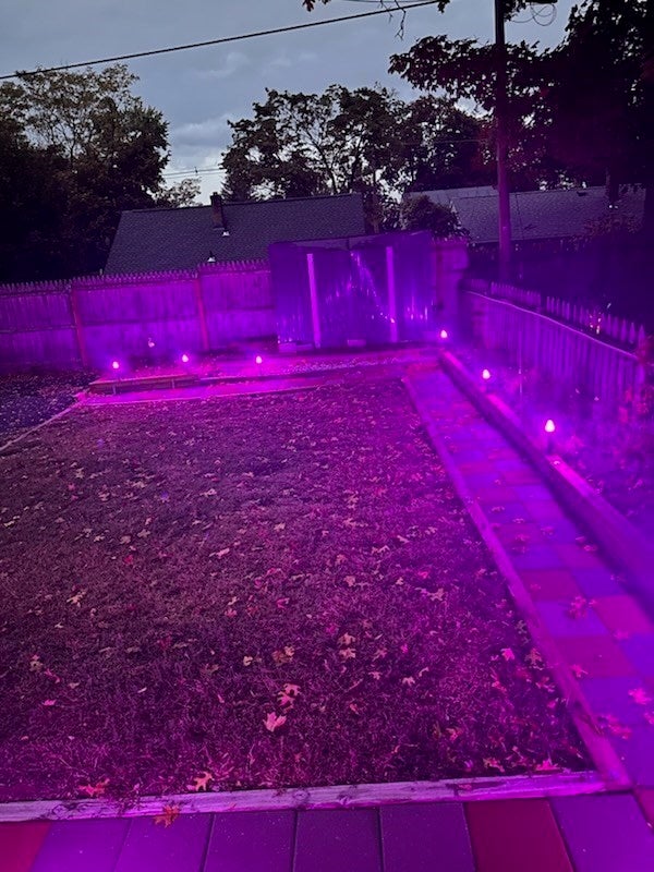 38 Worthy St, Springfield, MA Photo #40