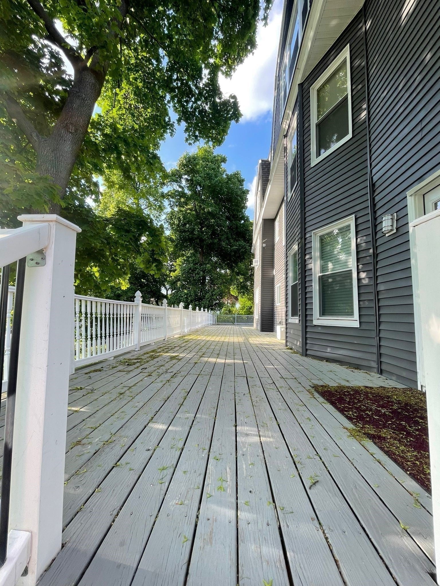 15 Forestdale Rd