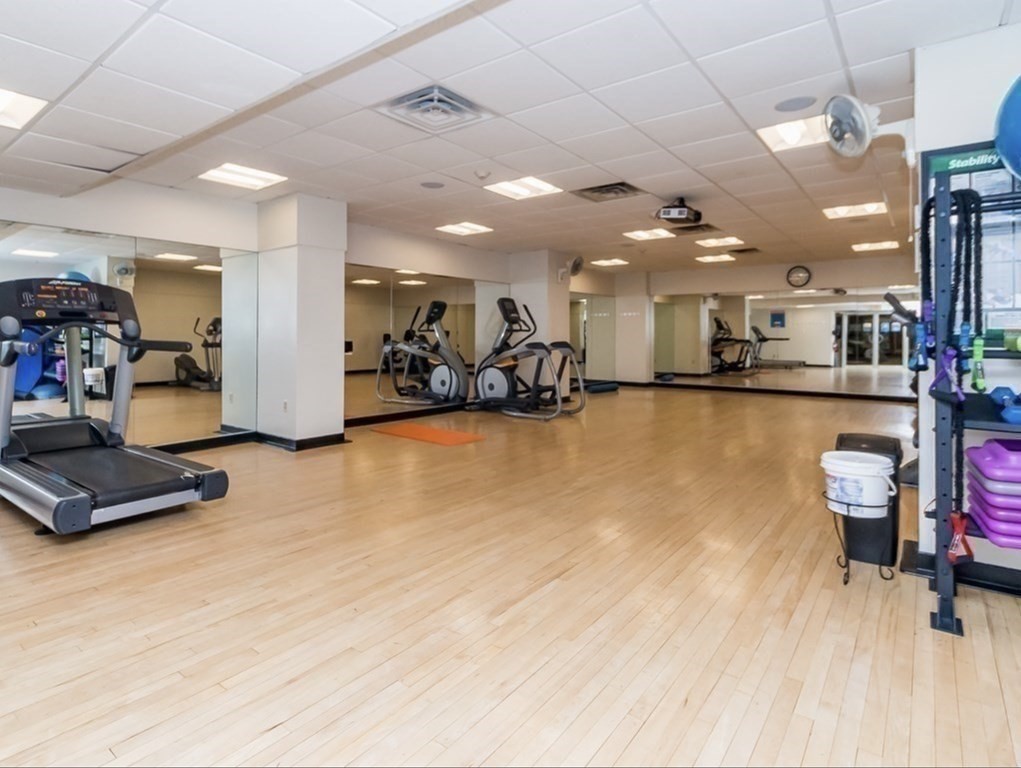 Brookline, Massachusetts 02445, United States, 1 Bedroom Bedrooms, ,1 BathroomBathrooms,Residential,Active,147282