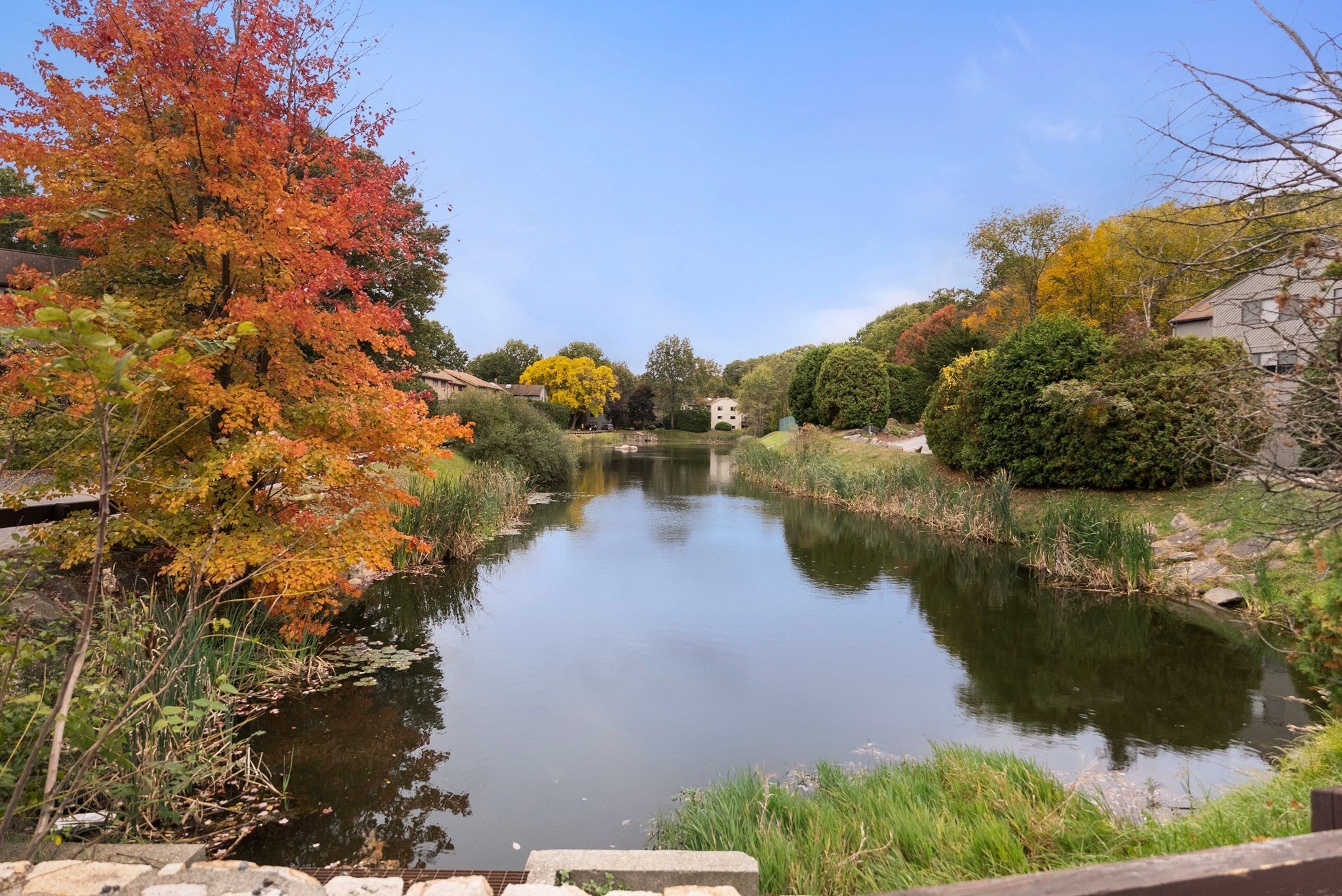 161 Leland Farm Rd #161, Ashland, MA, 161 Leland Farm Rd #161, Ashland, MA Photo #42
