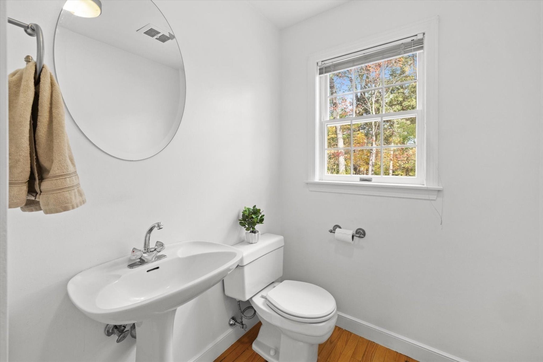 163 Standish Rd, Needham, MA Photo #5