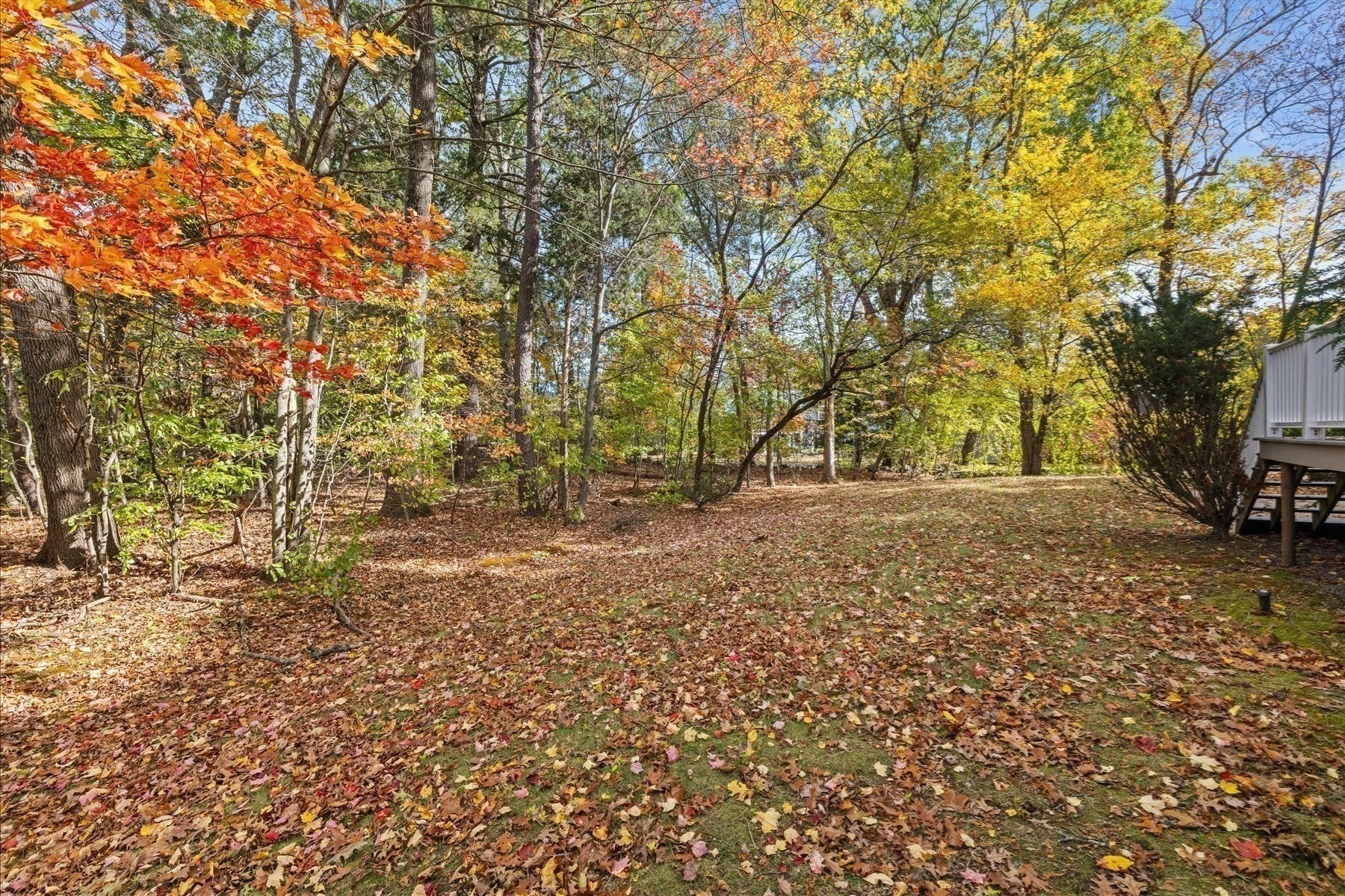 163 Standish Rd, Needham, MA Photo #25