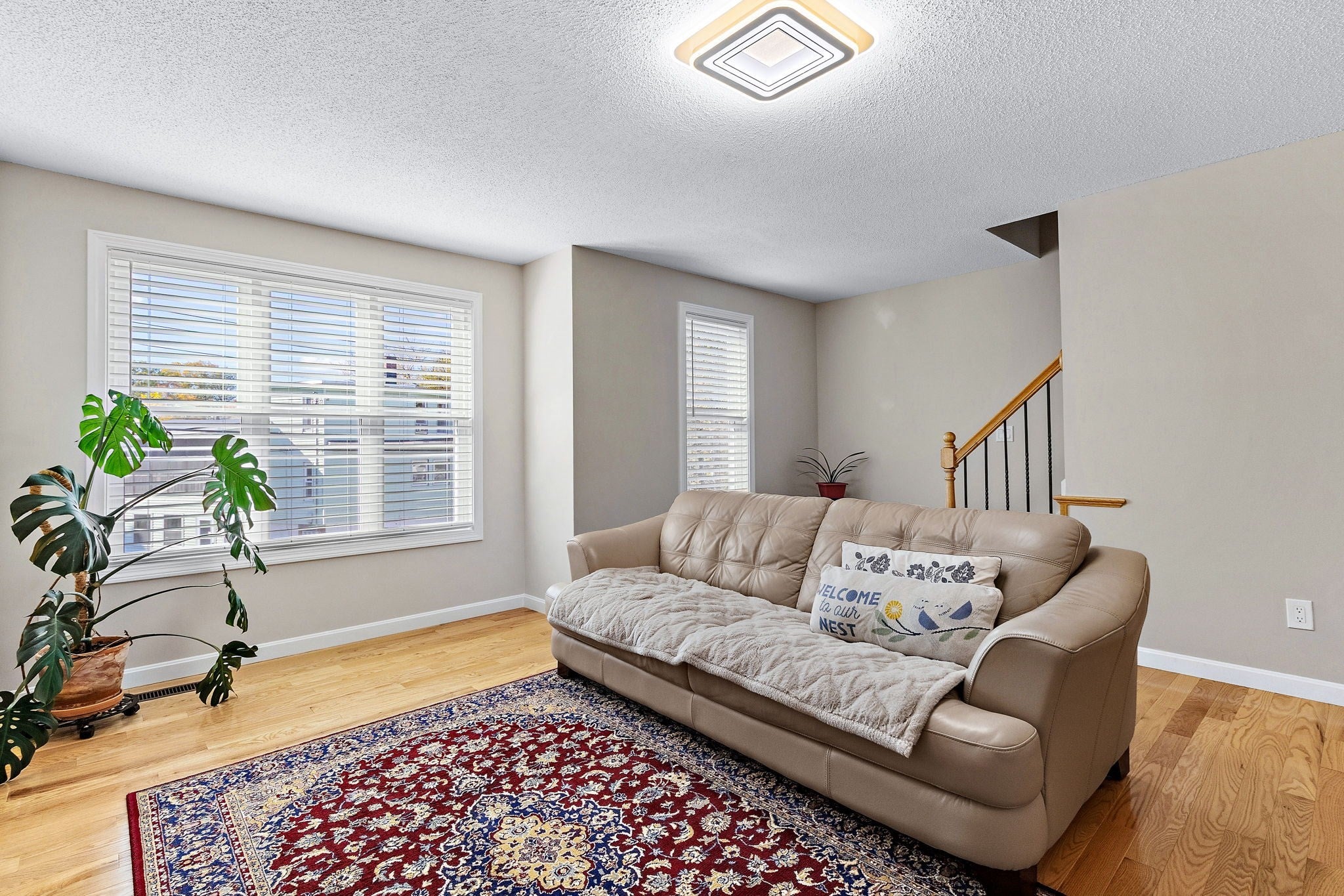 10 Eugene St 10