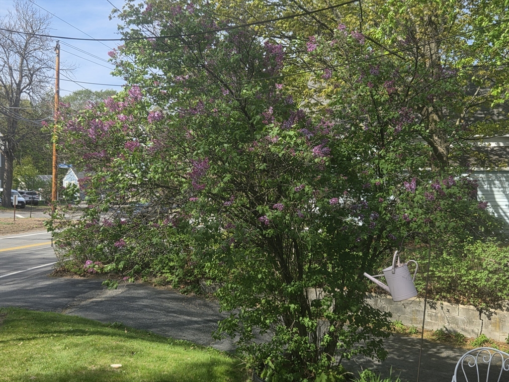 242 Pleasant Street