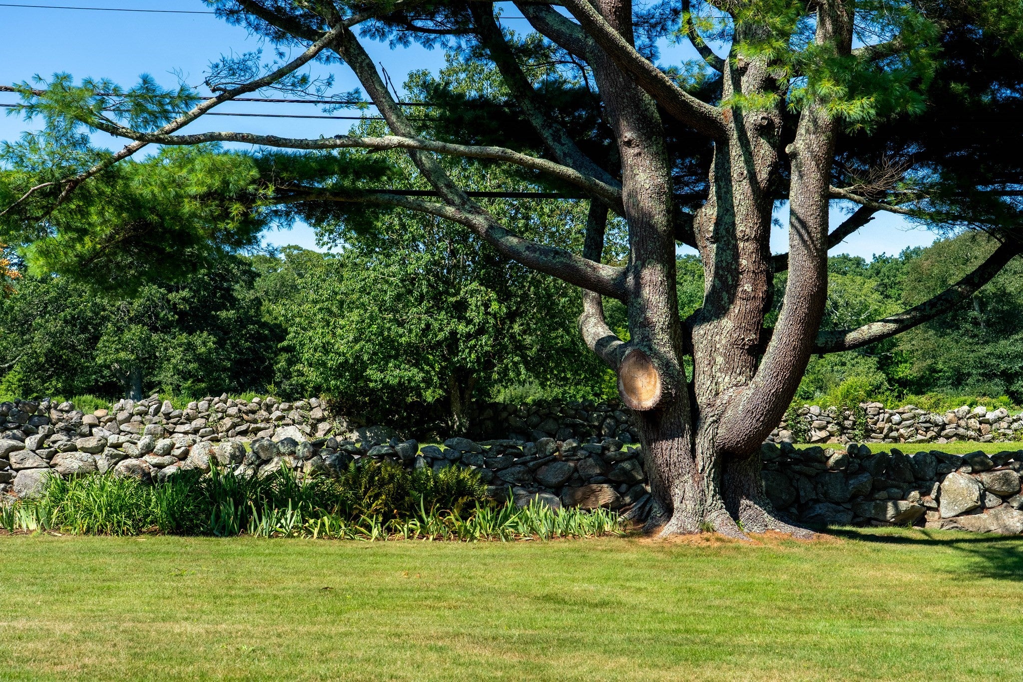 557 Smith Neck Rd, Dartmouth, MA, 557 Smith Neck Rd, Dartmouth, MA Photo #26