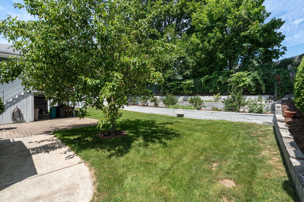 62 James St, Newton, MA, 62 James St, Newton, MA Photo #30