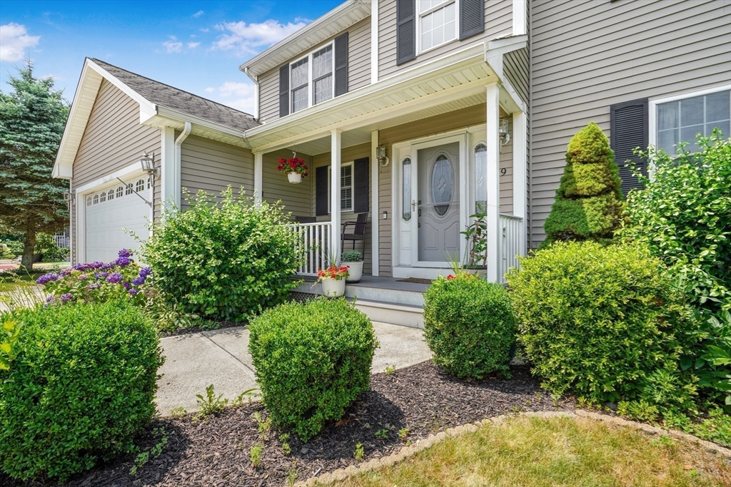 9 Aranea Cir