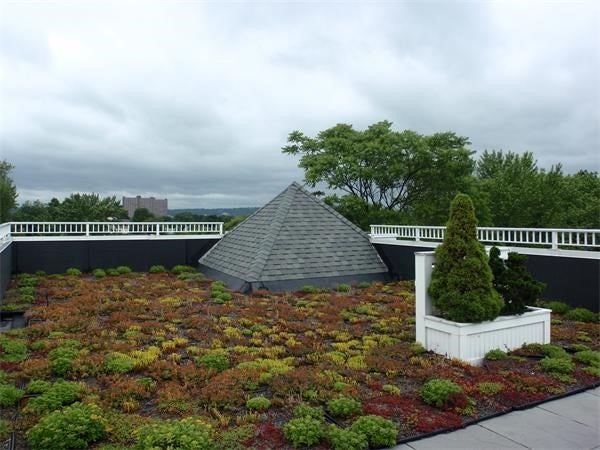 113 Richdale Ave #12, Cambridge, MA, 113 Richdale Ave #12, Cambridge, MA Photo #23