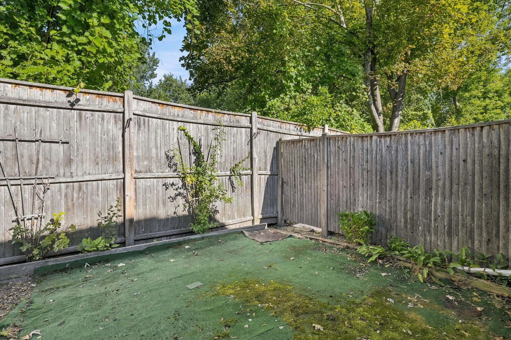 59 Holyoke St #3, Lynn, MA, 59 Holyoke St #3, Lynn, MA Photo #36