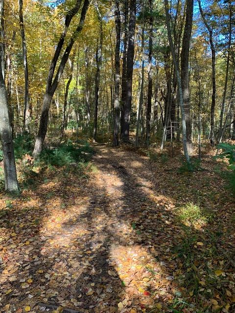 90 Maple St Sherborn MA 01770