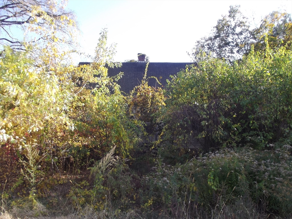 3 Rennie St