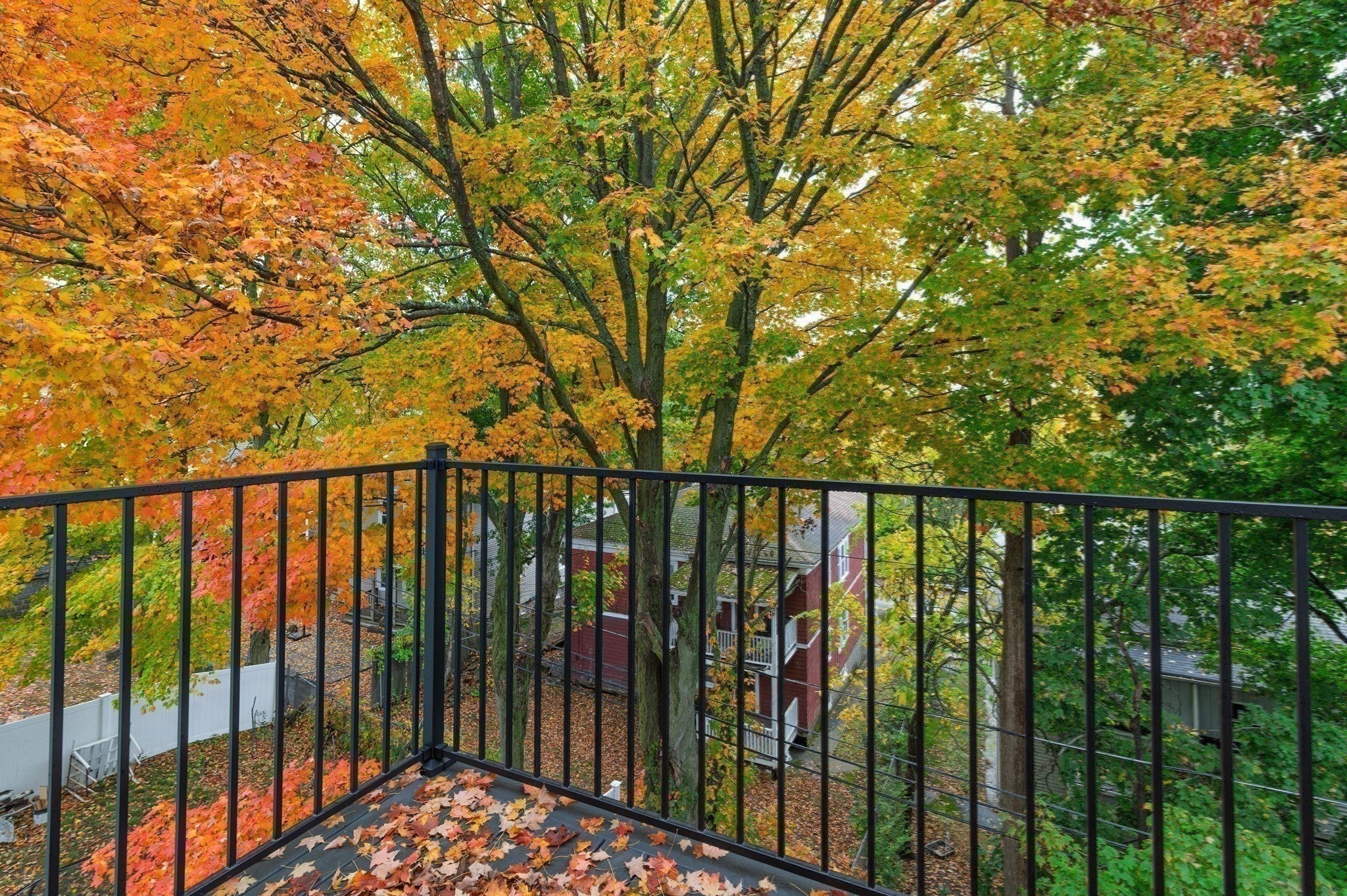 31 Westmore RD #31, Boston, MA Photo #19