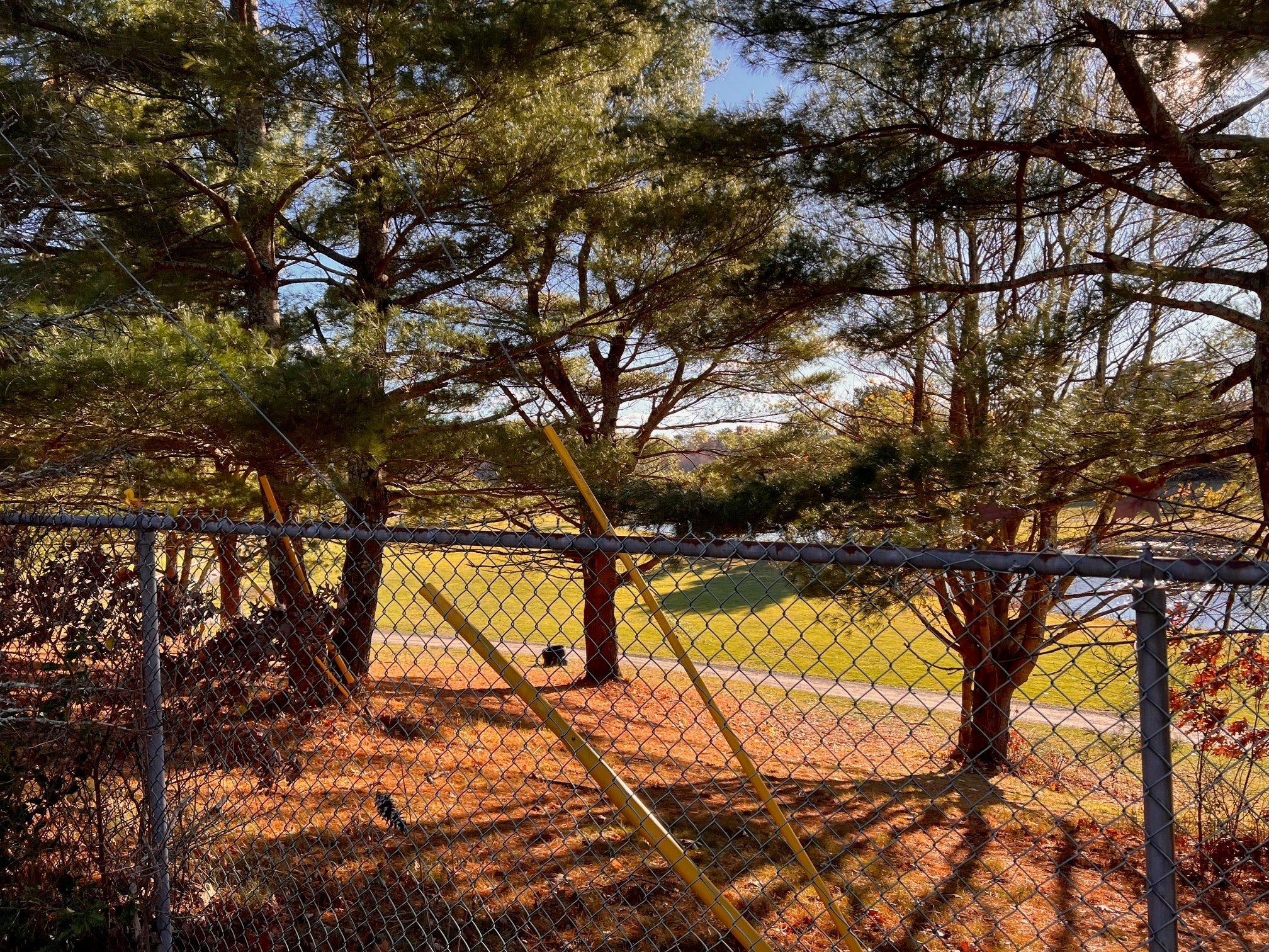 33 Reservoir Ave
