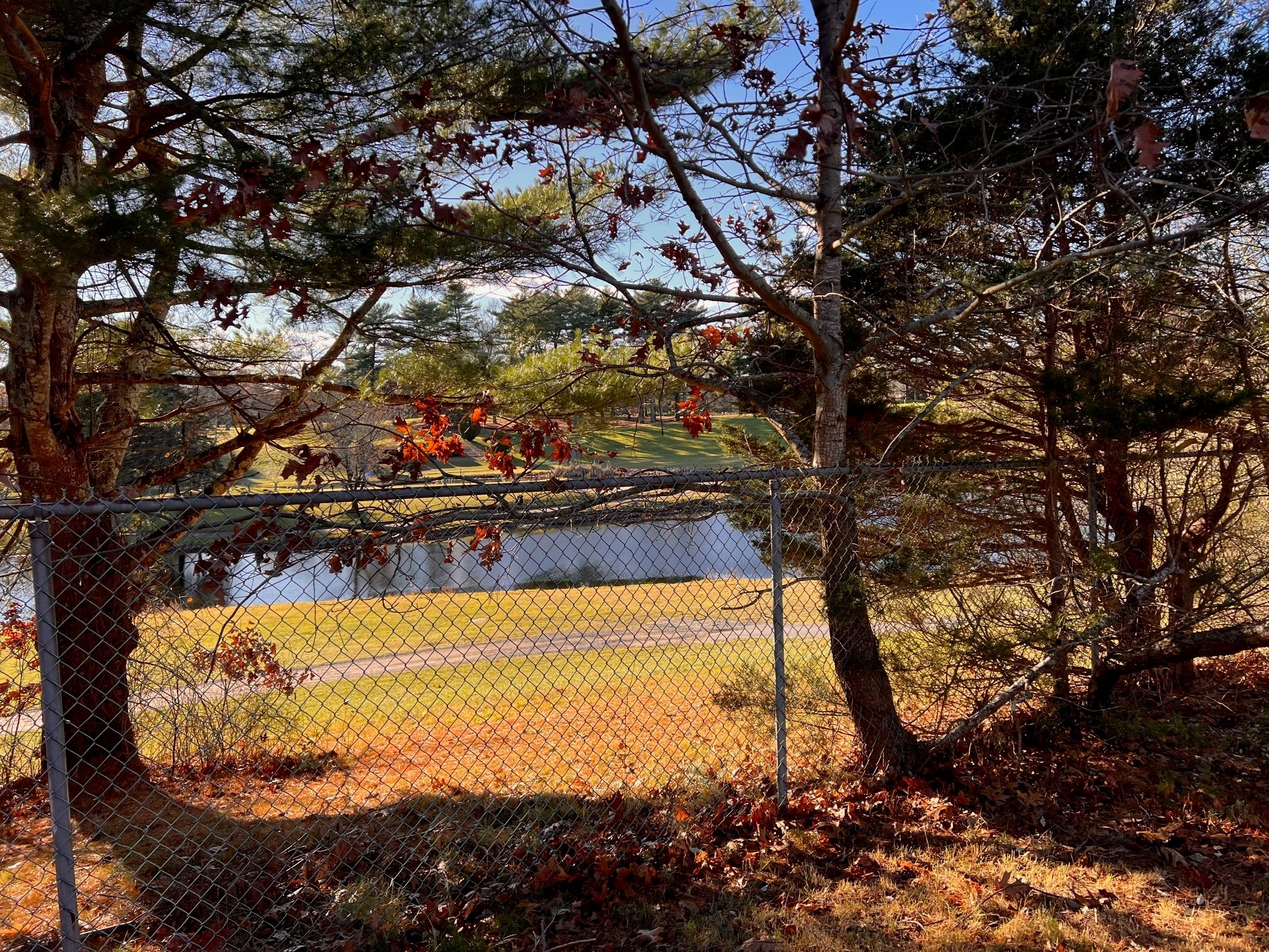 33 Reservoir Ave