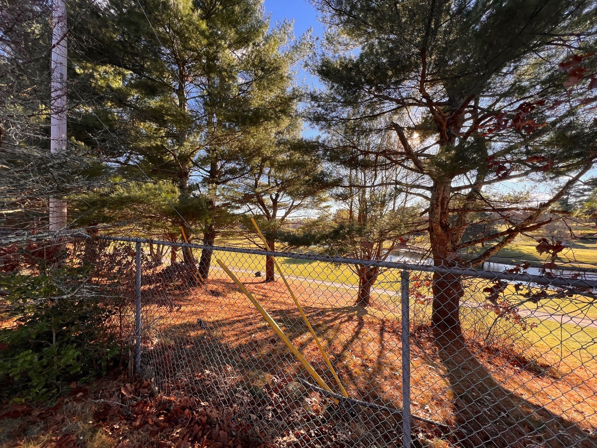 33 Reservoir Ave