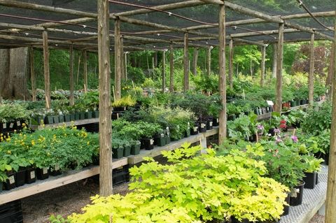 373 N Franklin St Holbrook MA 02343