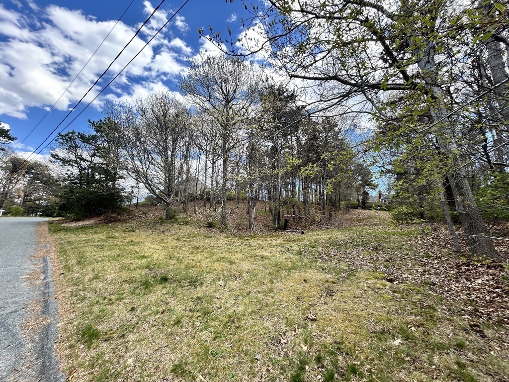 51 Forest Pines