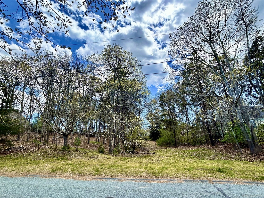 51 Forest Pines