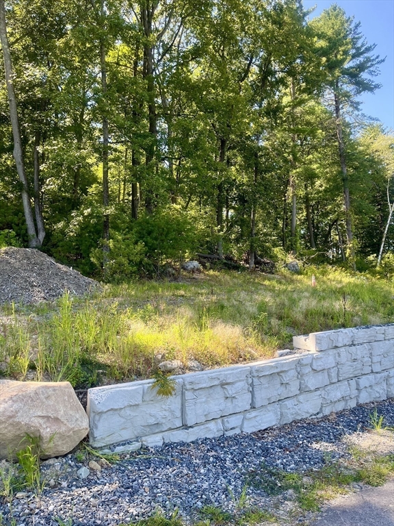 45 Widow Rites Lane