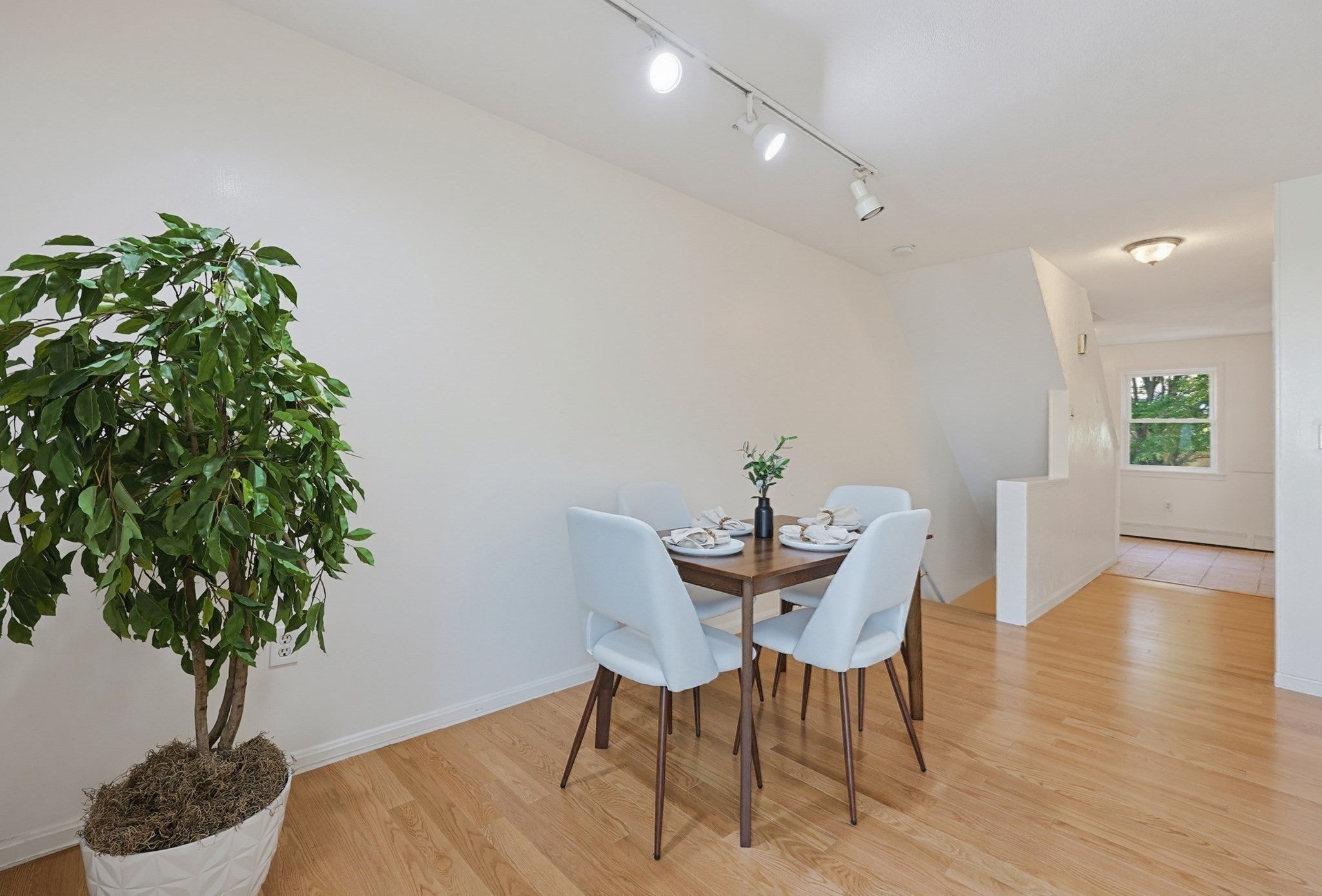 294 Paris Street #294, Boston, MA, 294 Paris Street #294, Boston, MA Photo #8