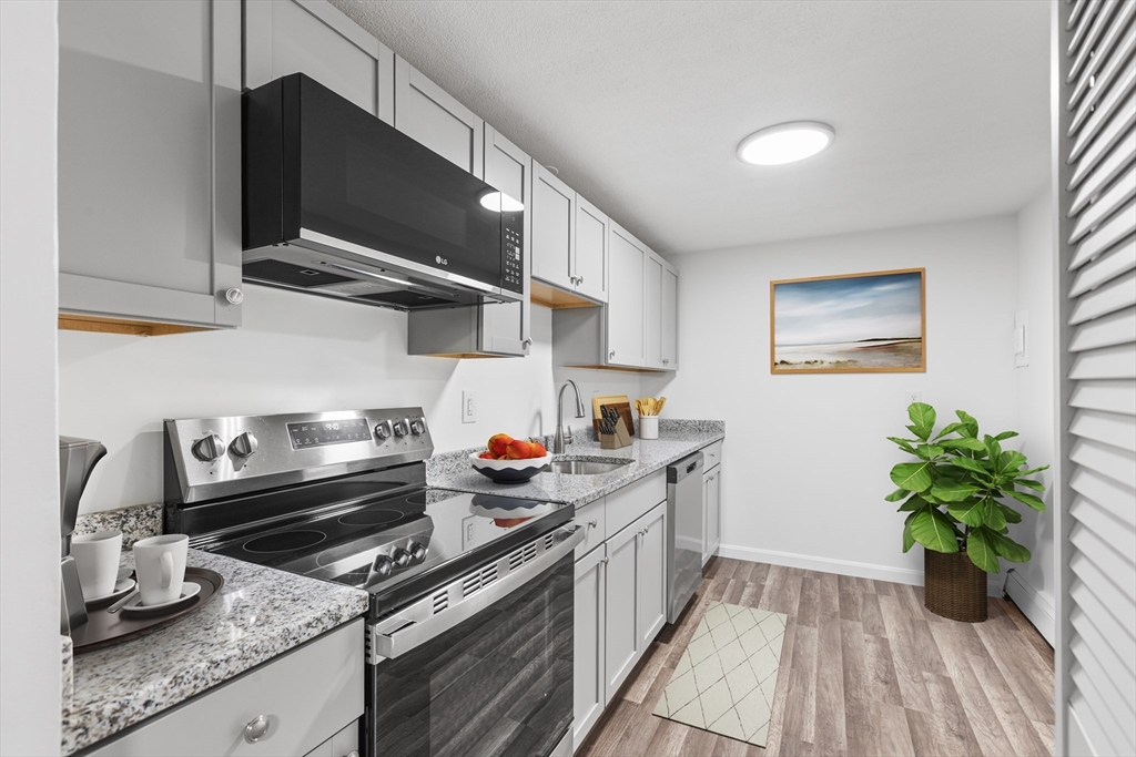 74 Springvale Ave 7