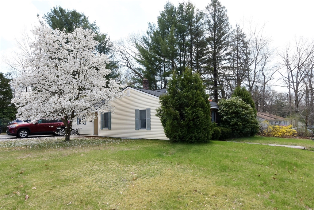 14 Warren Rd