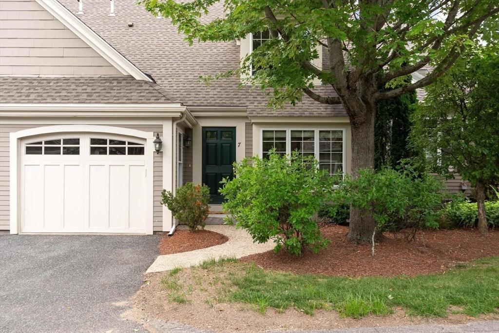 7 Faxon Drive 7