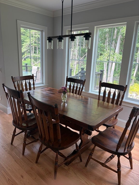 15 Highland Ave Bb Winter, Mattapoisett, MA, 15 Highland Ave Bb Winter, Mattapoisett, MA Photo #16