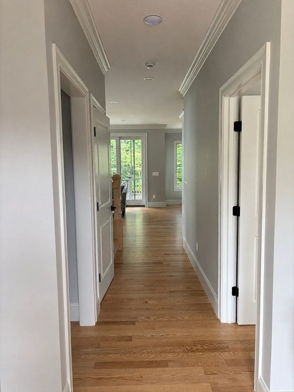 15 Highland Ave Bb Winter, Mattapoisett, MA, 15 Highland Ave Bb Winter, Mattapoisett, MA Photo #3