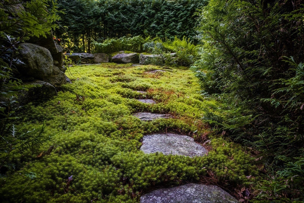11 Gulf Road, Pelham, MA Photo #18