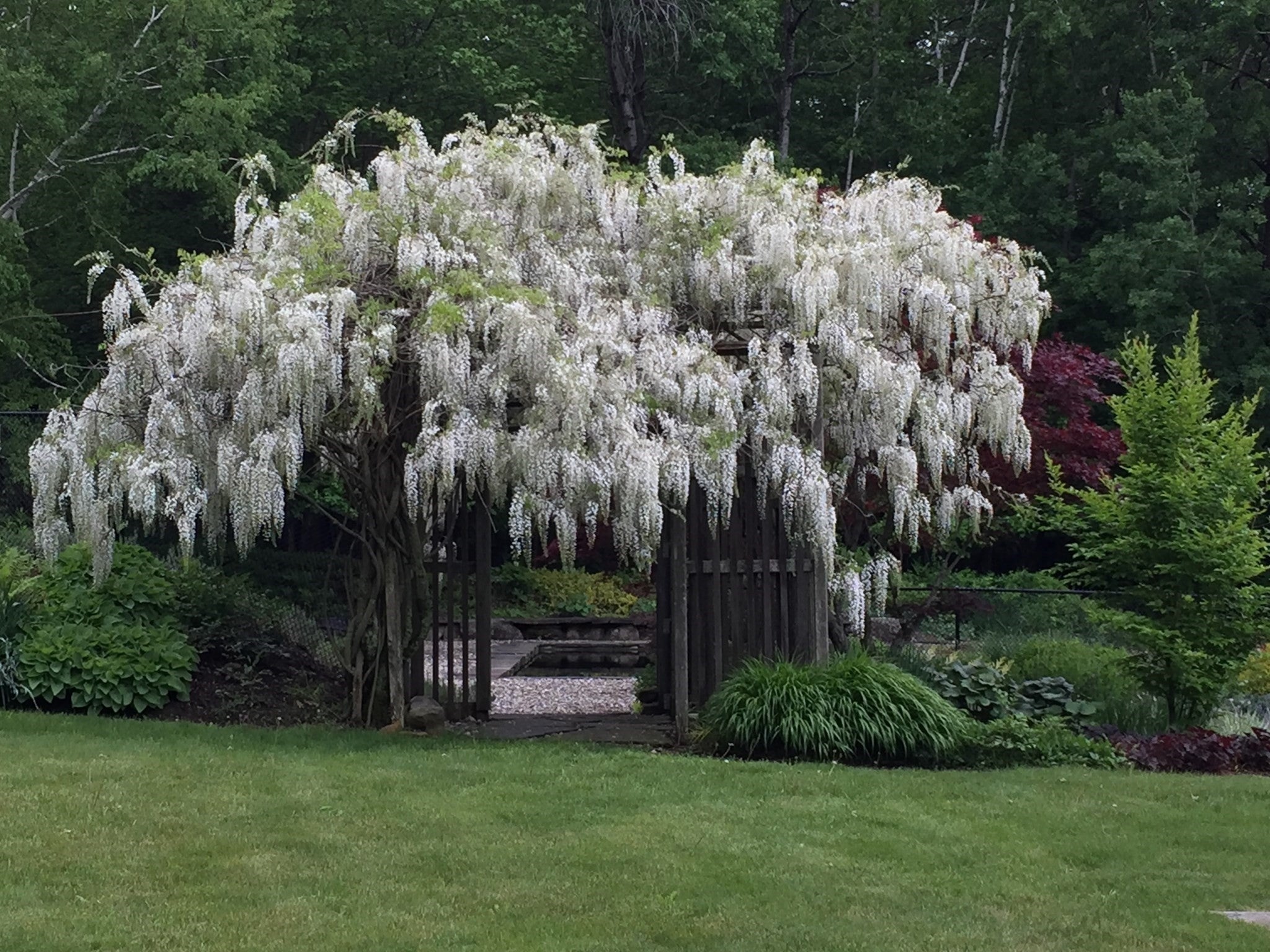 128 Leverett Rd, Shutesbury, MA Photo #33