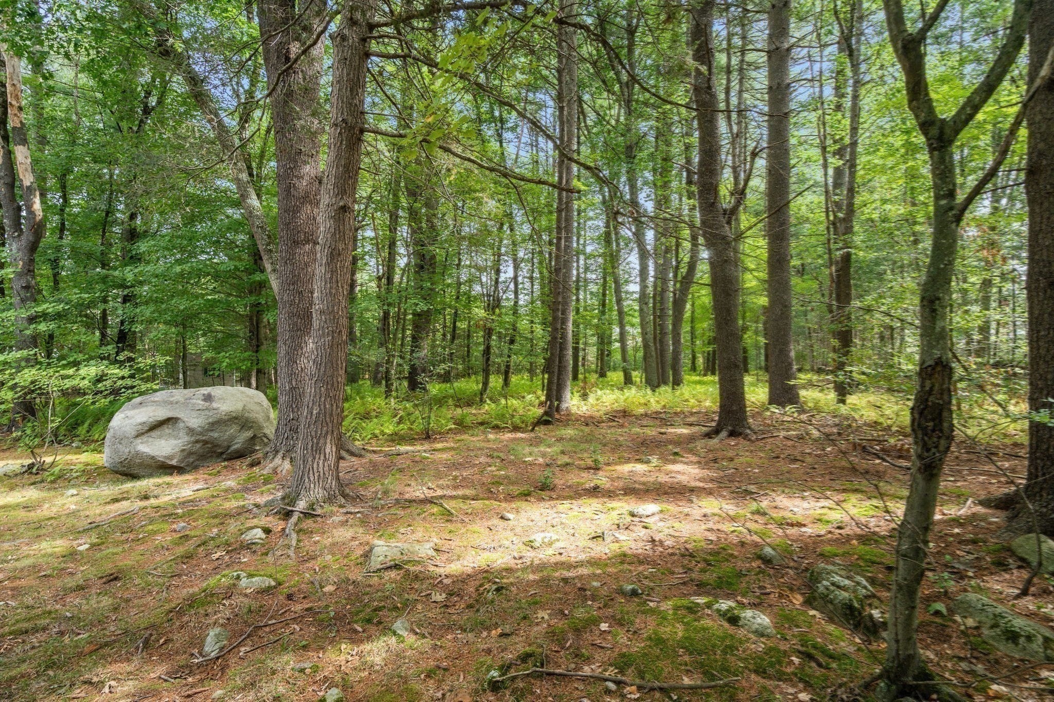 41 Old Stagecoach Rd, Bedford, MA, 41 Old Stagecoach Rd, Bedford, MA Photo #32