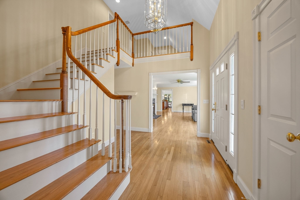 56 Shad Bush Cir