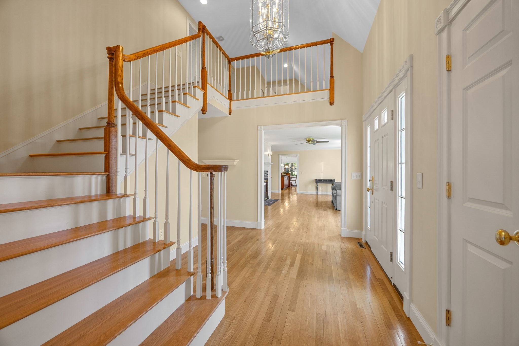 56 Shad Bush Cir
