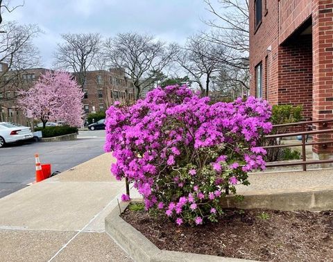 51 John St 201 Brookline MA 02446