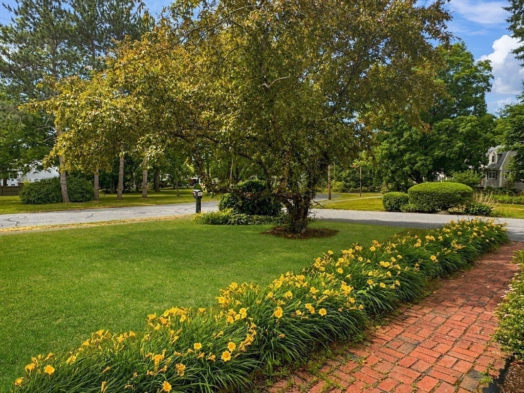 68 Dalton Rd